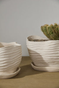 Design Shop Highland Pot with Saucer 9"x 6"x 6"