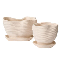Design Shop Highland Pot with Saucer 6"x 5.5"x 5.25"