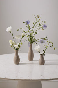 Design Shop Holden Budvase 2.75"x 8", Set of 4