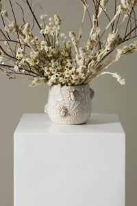 Design Shop House Spider Pot 6"x 5.25"