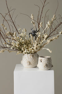 Design Shop House Spider Pot 6"x 5.25"