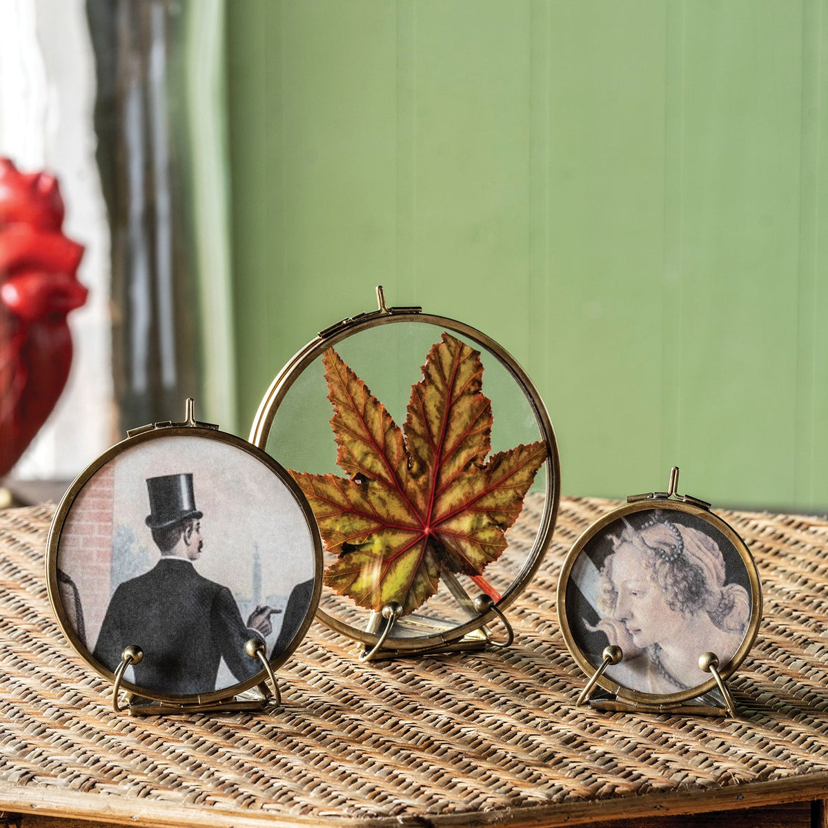 Design Shop Botanist Display Frames, Antique Brass, 3" to 5", Set of 3