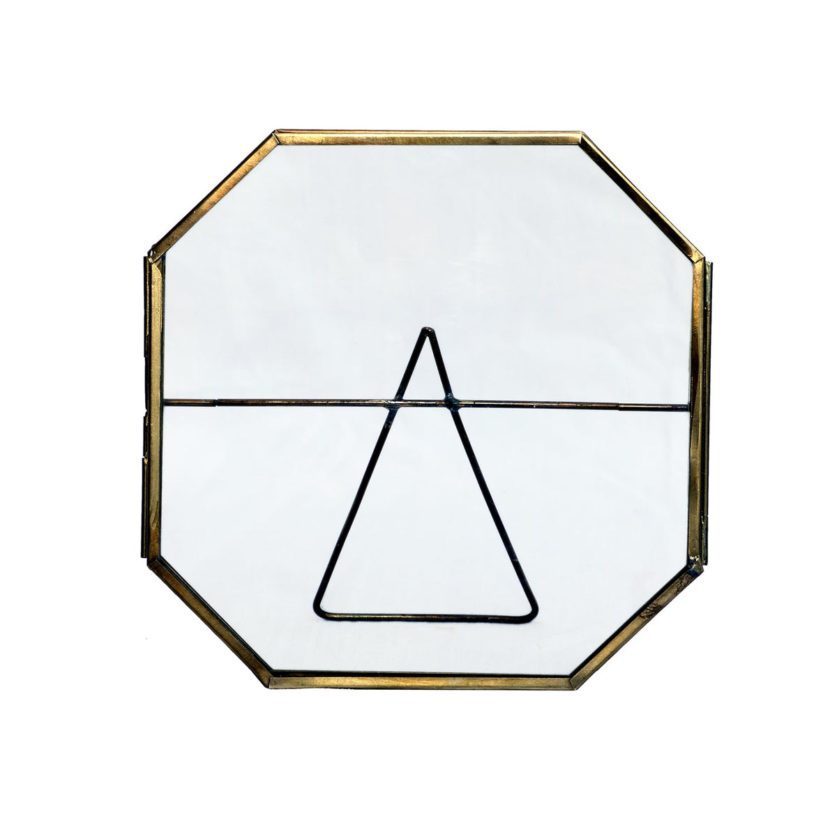 Design Shop Large Botanist Display Frame, Clear and Antique Brass, 7" x 7"