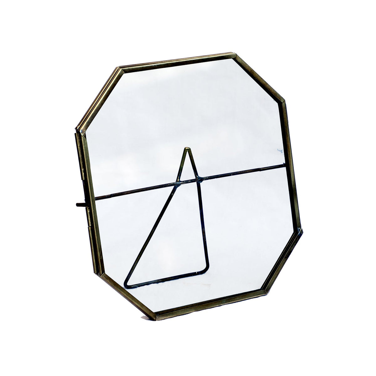 Design Shop Large Botanist Display Frame, Clear and Antique Brass, 7" x 7"