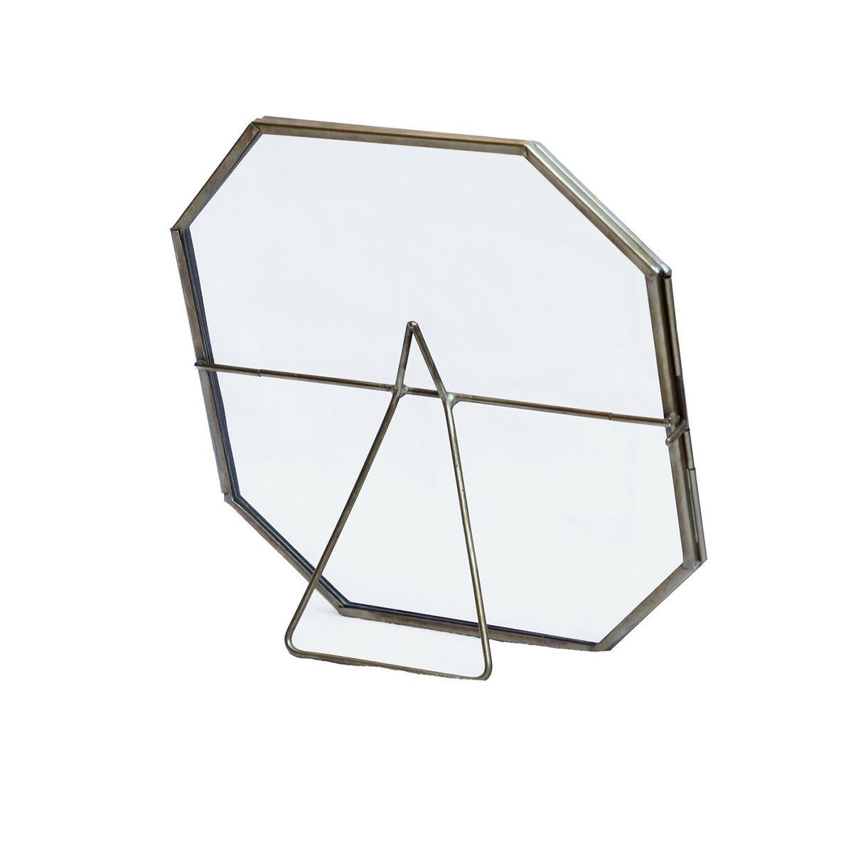 Design Shop Large Botanist Display Frame, Clear and Antique Brass, 7" x 7"