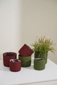 Design Shop Inkberry Basket Set of 3 - 6.5"/7"/8"