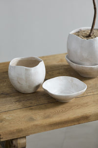 Design Shop Iona Pot with Saucer 7.25"x 6.5"