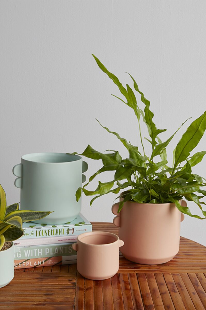 Design Shop Jamye Pot 6.5"x 5"x 5", Set of 2