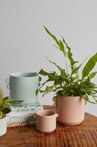 Design Shop Jamye Pot 6.5"x 5"x 5", Set of 2