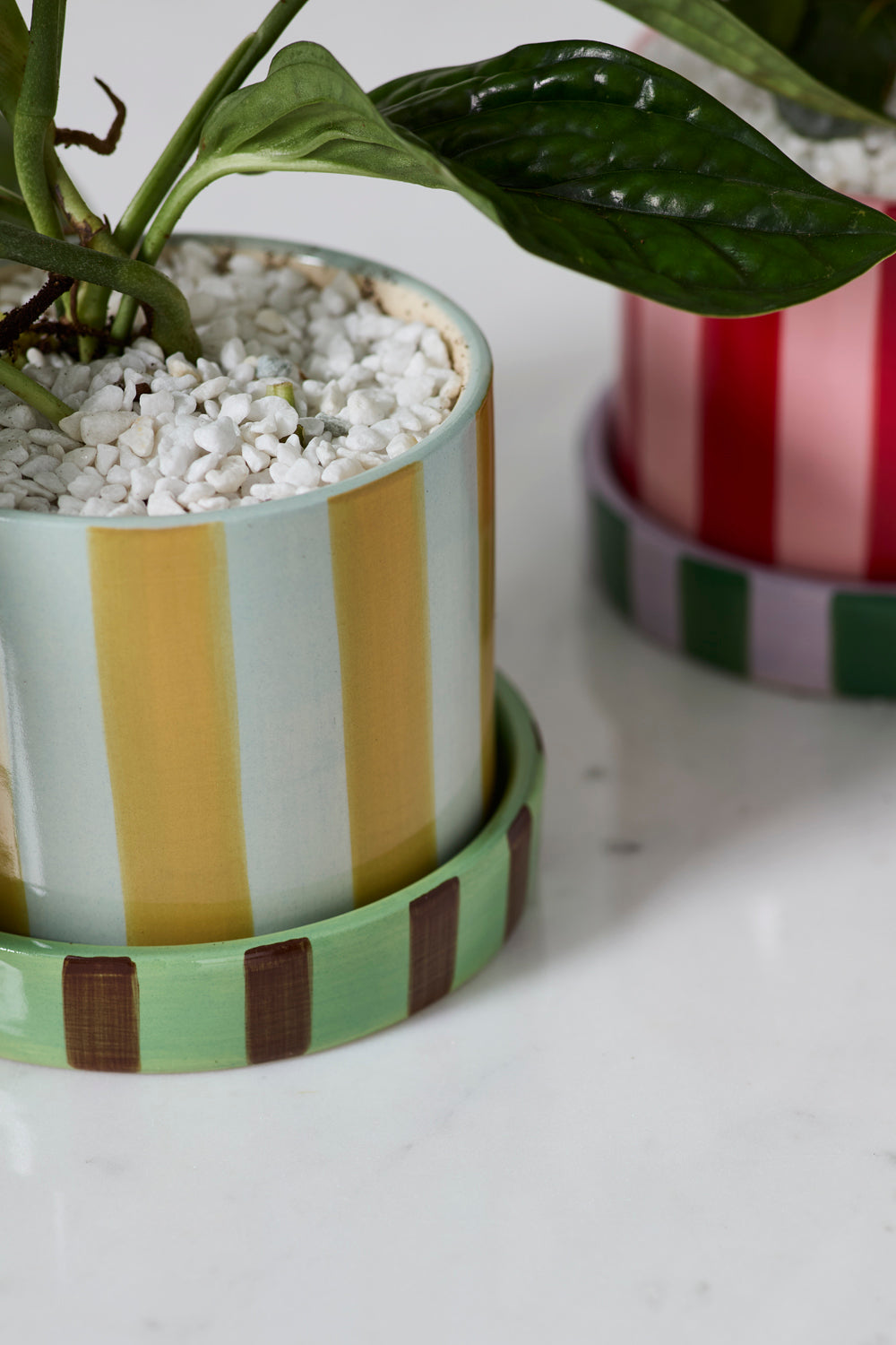 Design Shop Joyelle Pot with Saucer 5.75"x 4.5", Set of 2