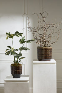 Design Shop Kasra Pot 13.5"x 12.5"