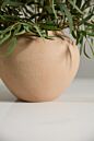 Design Shop Kastanos Vase 8.75"x 6.5"