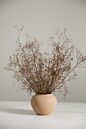 Design Shop Kastanos Vase 5.5"x 4.5", Set of 4