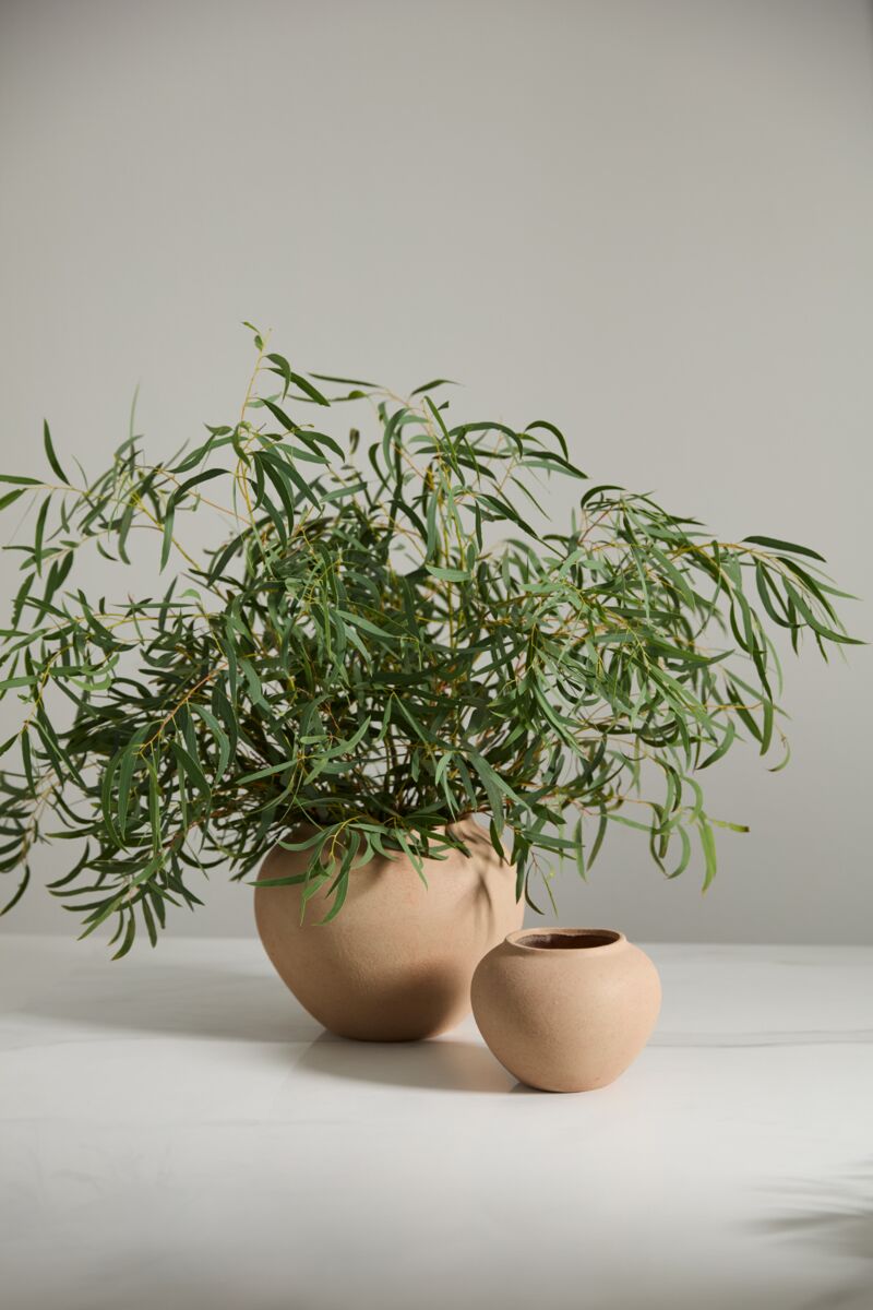 Design Shop Kastanos Vase 5.5"x 4.5", Set of 4