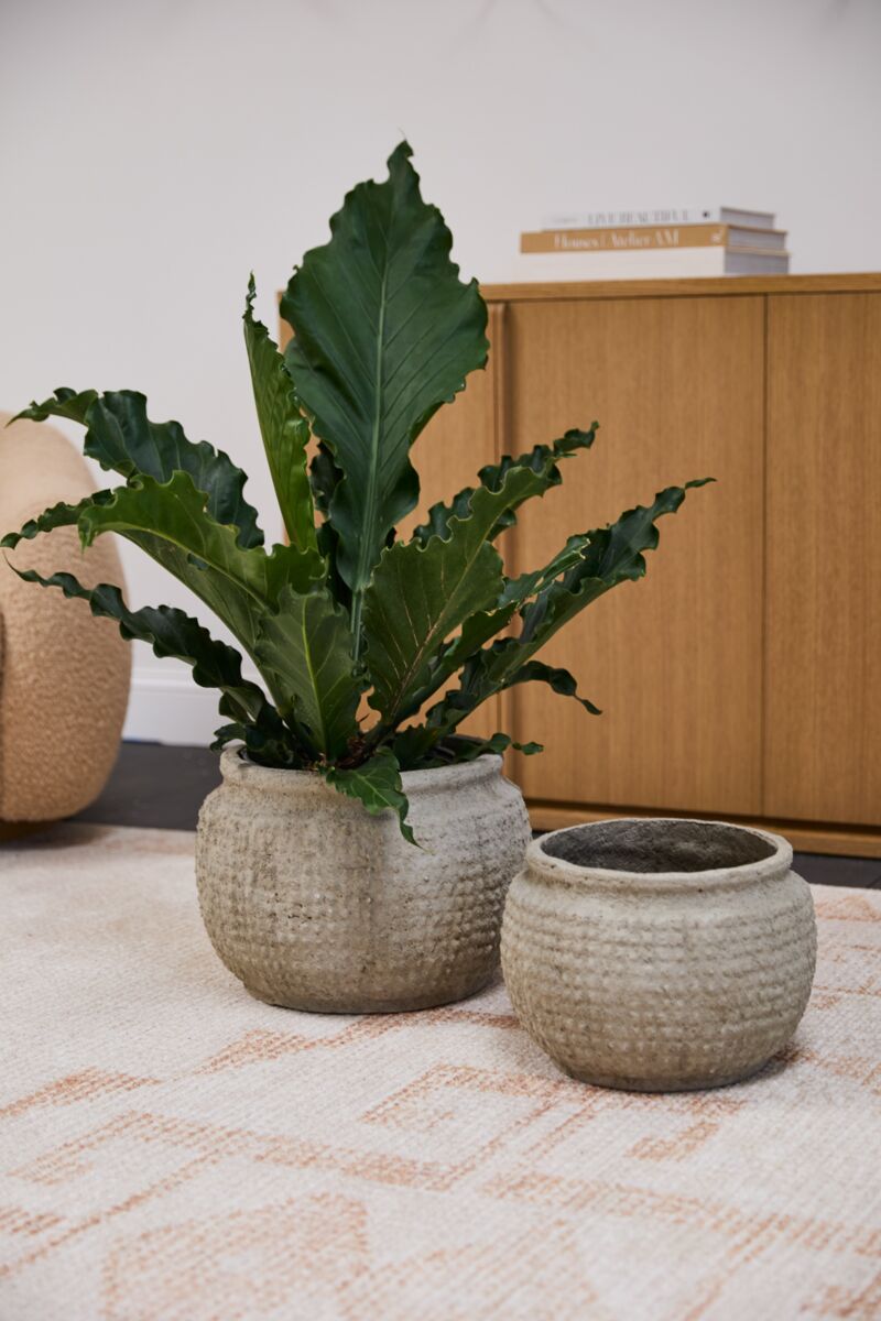 Design Shop Kemble Pot 12.25"x 8.5"
