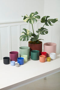 Design Shop Kendall Pot 10.75"x 10"
