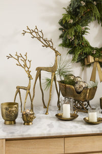 Design Shop Kingly Reindeer 20"x 12"x 37"