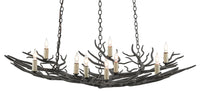 Currey and Company - 9000-0555 - Nine Light Chandelier - Rainforest Collection - Rustic Bronze