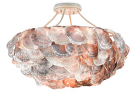 Currey and Company - 9000-0755 - Six Light Chandelier - Smokewood/Natural Shell