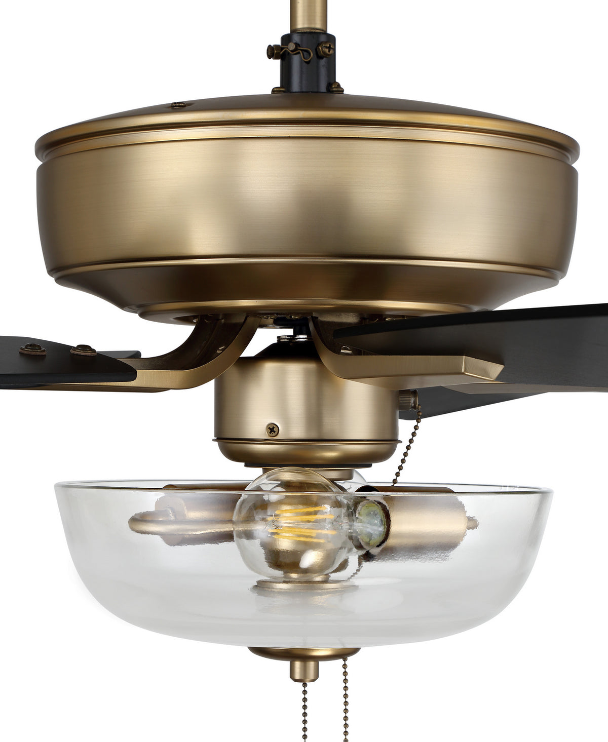 Craftmade - P101SB5-52BWNFB - 52" Ceiling Fan - Pro Plus 101 - Satin Brass