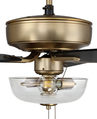 Craftmade - P101SB5-52BWNFB - 52" Ceiling Fan - Pro Plus 101 - Satin Brass