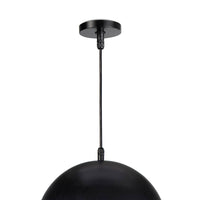 Regina Andrew - 17-1003BLK - One Light Pendant - Peridot - Black