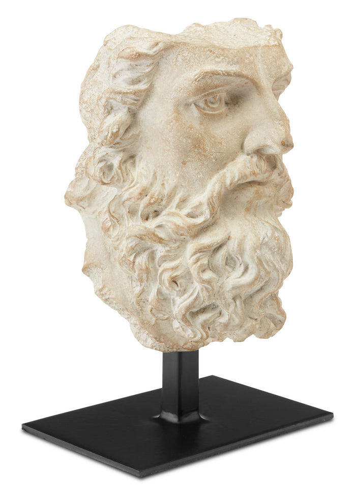 Currey and Company - 1200-0444 - Head of Zeus - Head of Zeus - Aged Beige/Black