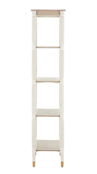 Currey and Company - 3000-0203 - Etagere - Aster Collection - Off White/Fog/Brass