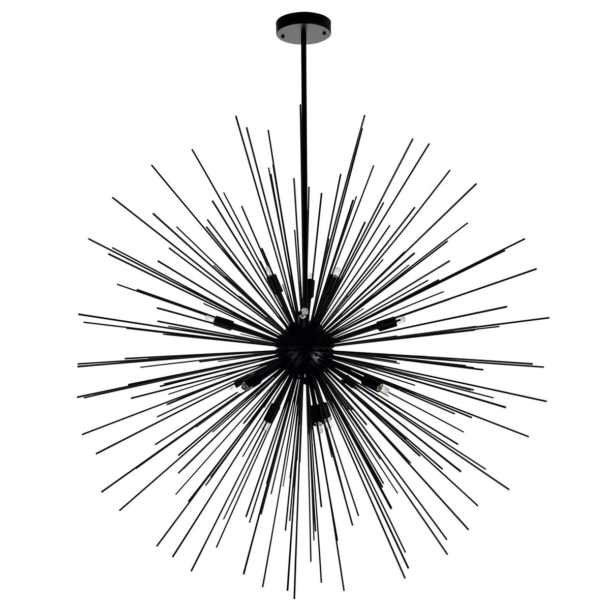 CWI Lighting 14 Light Chandelier from the Savannah collection in Black finish