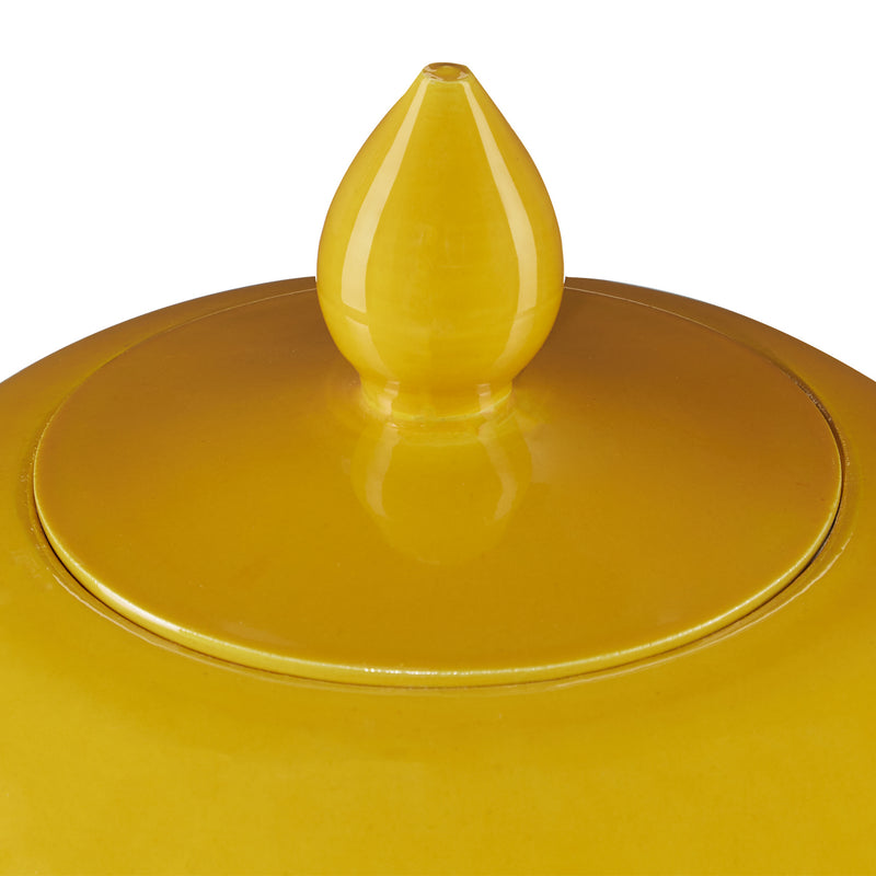 Currey and Company - 1200-0579 - Jar - Imperial - Yellow