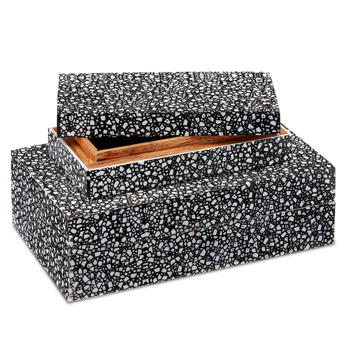 Currey and Company Box Set of 2 from the Lela collection in Black/White finish