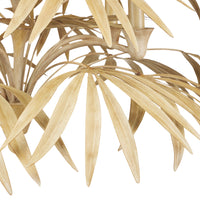 Currey and Company - 9000-0930 - Five Light Chandelier - Calliope Collection - Coco Cream