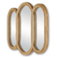 Currey and Company - 1000-0128 - Mirror - Triboa Mirror - Arurog/Khaki/Mirror