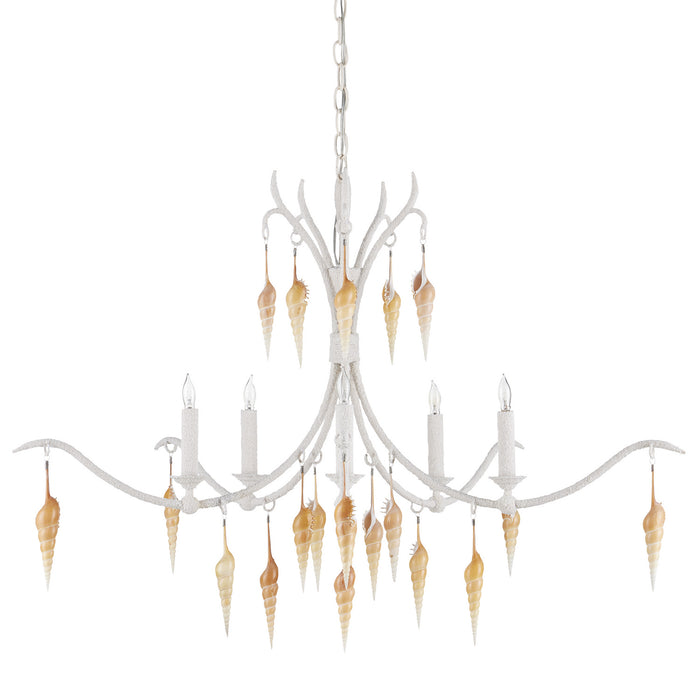 Currey and Company Five Light Chandelier from the Arcachon collection in Crushed Shell/Natural/Vanilla finish