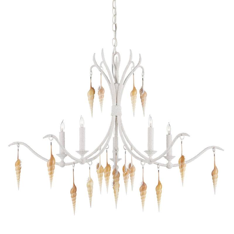 Currey and Company Five Light Chandelier from the Arcachon collection in Crushed Shell/Natural/Vanilla finish