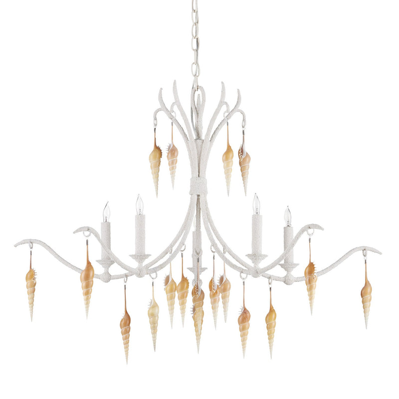 Currey and Company Five Light Chandelier from the Arcachon collection in Crushed Shell/Natural/Vanilla finish