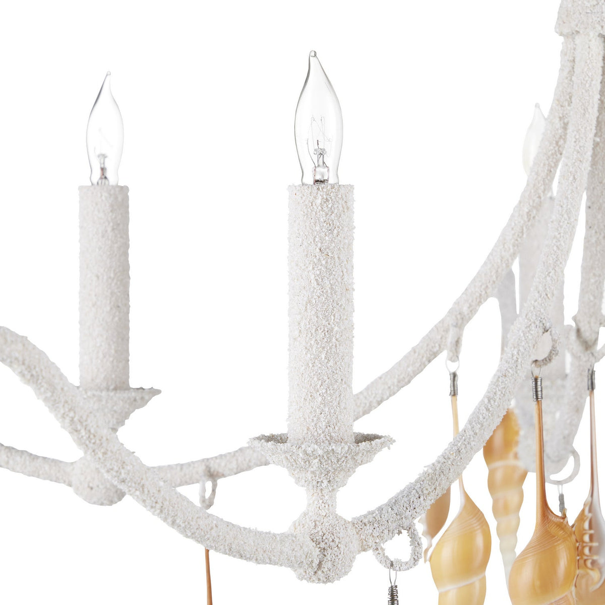 Currey and Company Five Light Chandelier from the Arcachon collection in Crushed Shell/Natural/Vanilla finish
