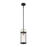 Artcraft - AC11511BB - One Light Pendant - Bonita - Black and Brushed Brass