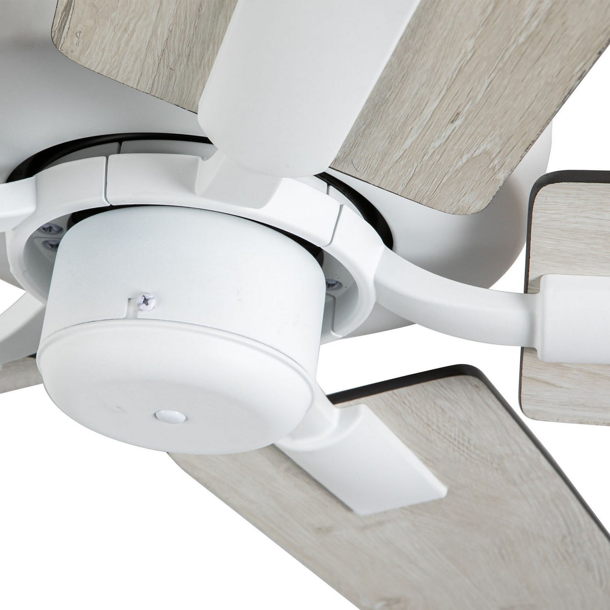 Kuzco Lighting - CF78752-WH-NLW - 52"Ceiling Fan - Erikson - White