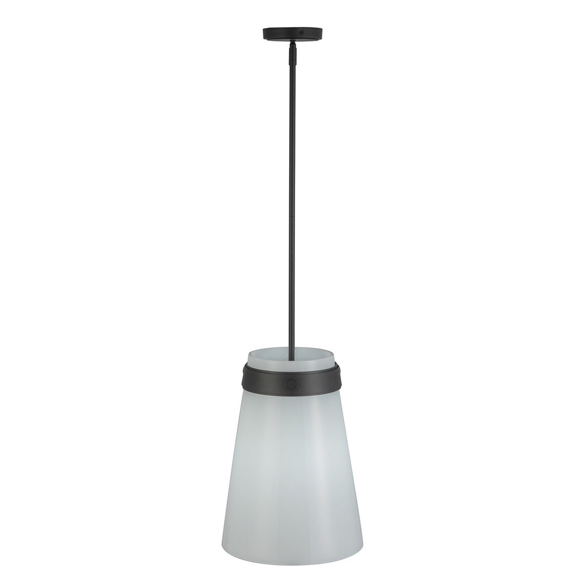 Artcraft - AC10640BK - One Light Pendant - Dahlia - Black