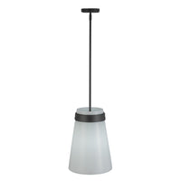 Artcraft - AC10640BK - One Light Pendant - Dahlia - Black