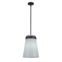 Artcraft - AC10640BK - One Light Pendant - Dahlia - Black