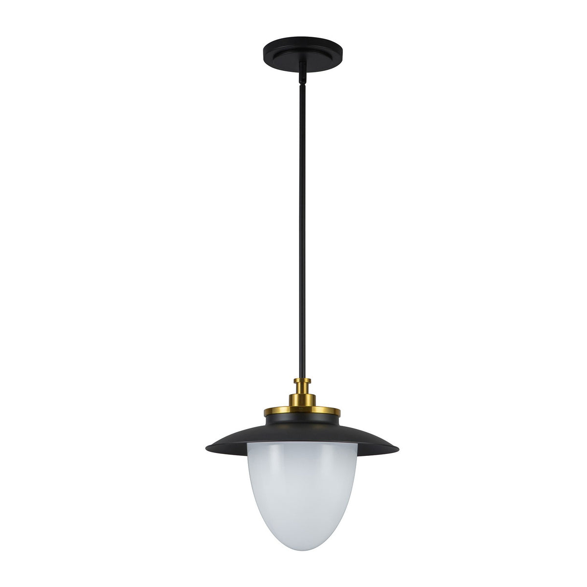 Artcraft - AC11905BB - One Light Pendant - Dahlia - Black