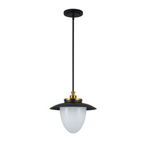 Artcraft - AC11905BB - One Light Pendant - Dahlia - Black