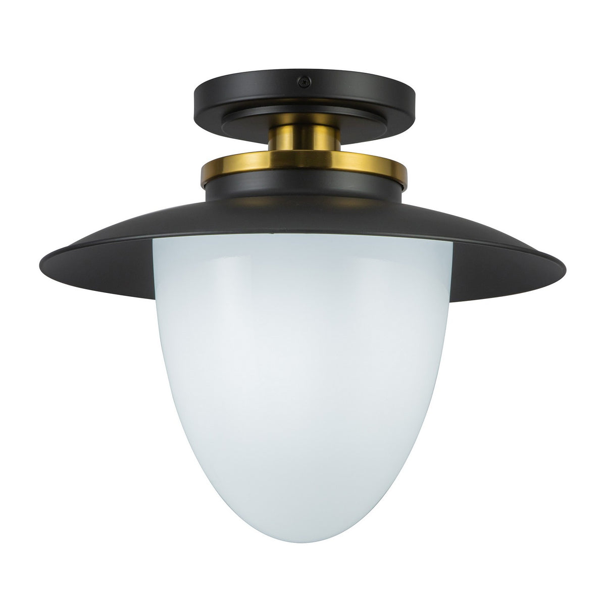 Artcraft - AC11905BB - One Light Pendant - Dahlia - Black