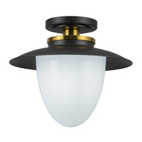 Artcraft - AC11905BB - One Light Pendant - Dahlia - Black