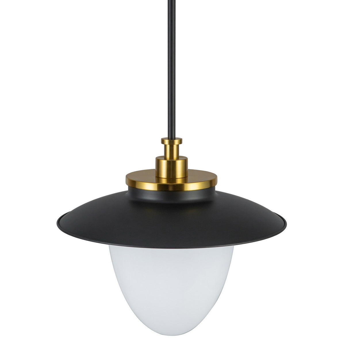 Artcraft - AC11905BB - One Light Pendant - Dahlia - Black