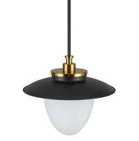 Artcraft - AC11905BB - One Light Pendant - Dahlia - Black