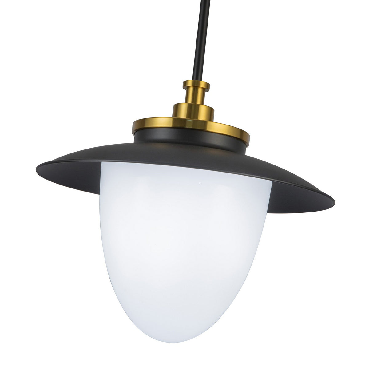 Artcraft - AC11905BB - One Light Pendant - Dahlia - Black