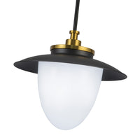 Artcraft - AC11905BB - One Light Pendant - Dahlia - Black